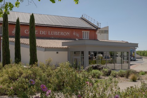 caveau-degustation-vin-luberon Caveau de dégustation de vin rénové dans le Luberon